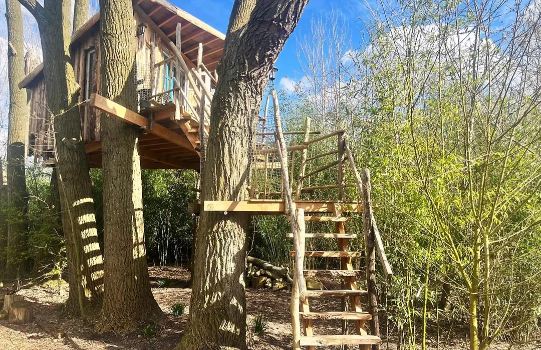 Bamboo Lodge Groningen-1